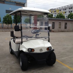 2 Seater Hot Sale Battery Operated Utility Golf Cart with Cargo Carrier