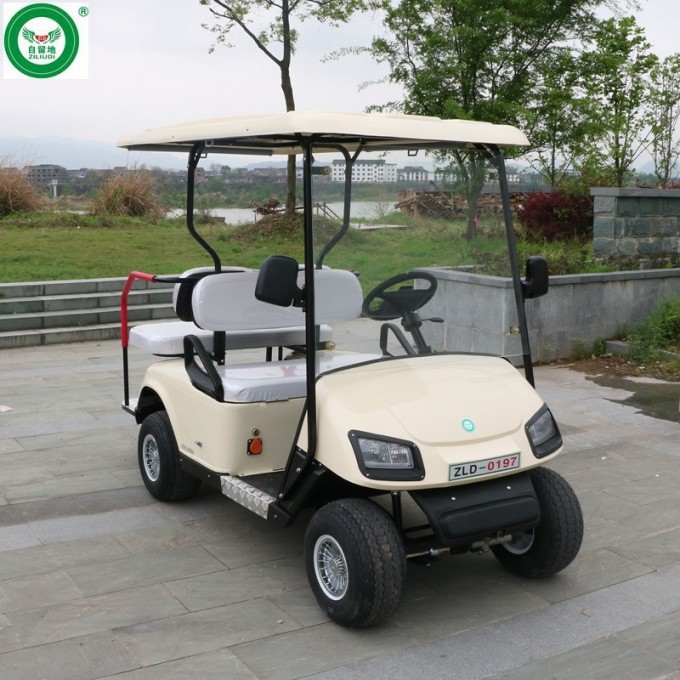 Electric Golf Carts with Hybrid Generator, 4 Seats Image1