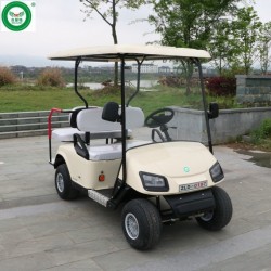 Electric Golf Carts with Hybrid Generator, 4 Seats