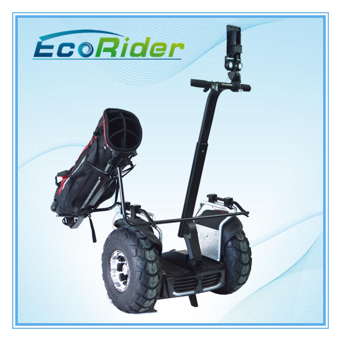 2 Wheel Balancing Electric Scooter Ecorider Standing Electric Golf Cart 4000W Image1