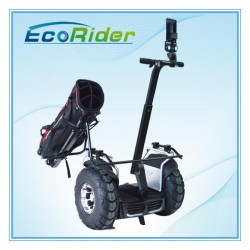 2 Wheel Balancing Electric Scooter Ecorider Standing Electric Golf Cart 4000W