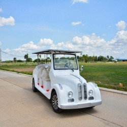 8 Seat Electric Vintage Golf Carts