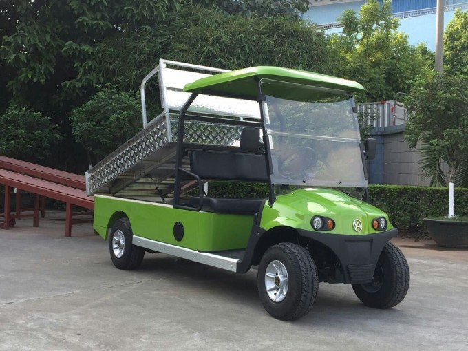 Customized Design 2 Seater Assist Tilting Cargo Cart with Ce Certificate Image1