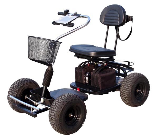 24V Single Seat Trekker Golf Cart 413G-2 Image1