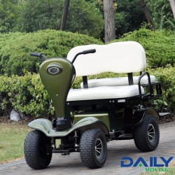2 Passenger Seat Golf Cart with 24V 1500W Motor