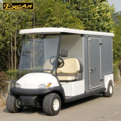 High Quality 2 Seats Electric Golf Cart with Case
