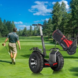 21 Inch off Road 4000W Golf Cart with 1266wh 72V Battery