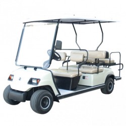 6 Passengers Electric Golf Cart for Sale