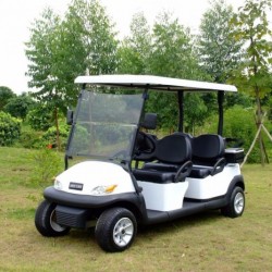 48V Buggy Car Electric Golf Cart (4 seater)