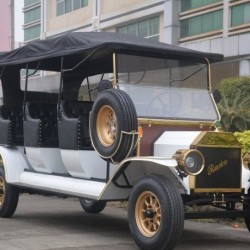Royal 5kw Powerful Classic Electric Carts