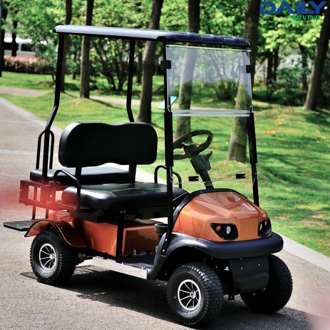 Ce Heavy Duty Stong Power Mini Golf Golf Cart for 2-4 People Image1