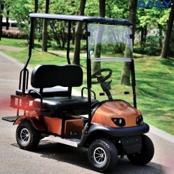 Ce Heavy Duty Stong Power Mini Golf Golf Cart for 2-4 People