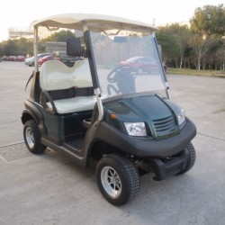 New Designed Electric Utility Cart Hot Sale Fashion Golf Cart