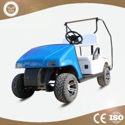 New Model 2 Passengers Chinese Mini Electric Golf Carts