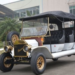 Pure Hand Made 8 Passenger Elegant Battery Golf Cart with High Quality