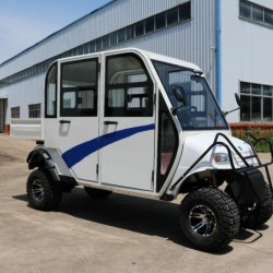 New Design 4 Seat Electric Power Hunting Golf Cart