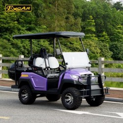 Top Quality 4 Passengers AC System Electric Golf Carts