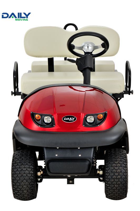 Double Seat Electric Golf Cart / Buggy with 36V 1600W Motor Image1