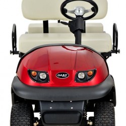 Double Seat Electric Golf Cart / Buggy with 36V 1600W Motor