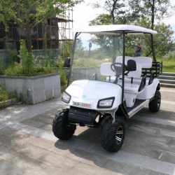 Electric Golf Cart, Ce Approved, 6 Seats