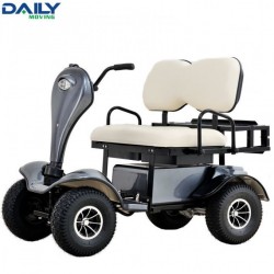 24V 1500W Motor Double Seat Electric Golf Cart / Buggy