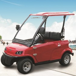 China Factory Electric Street Legal Golf Cart with Ce (DG-LSV2)