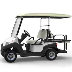4 Seats Electric Golf Cart, with Dumper Seat Image1