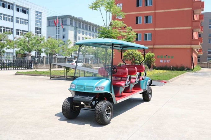 Ziliudi Brand Ce Approved 6 Seats Electric Golf Cart Image1