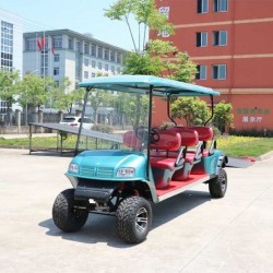 Ziliudi Brand Ce Approved 6 Seats Electric Golf Cart