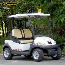 New Design 2 Person Electric Mini Golf Cart