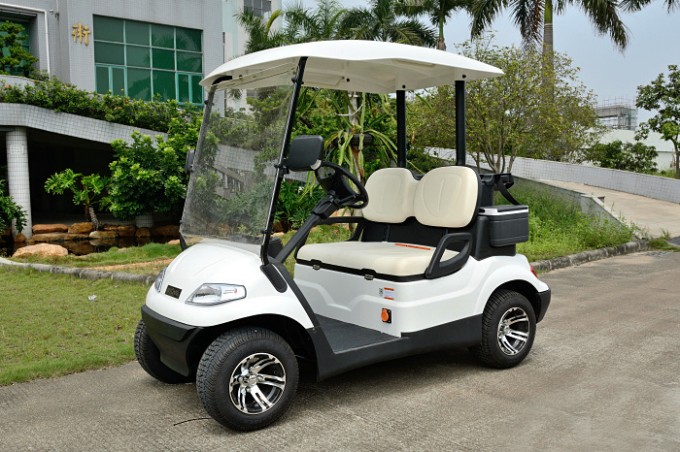 Electric 2 Seater Golf Cart Image1
