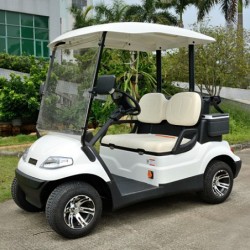 Electric 2 Seater Golf Cart