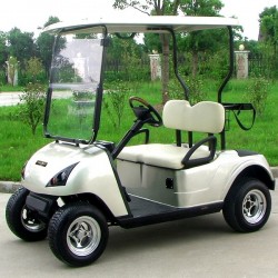 Battery Powered 2 Seater Electric Golf Cart (DG-C2)