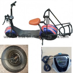2 Seater Electric Golf Cart, Hunting Golf Cart with Rear Flip Seater, Utility Golf Cart for Sale