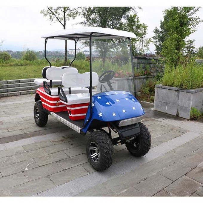China 6 Seat Electric Sightseeing Golf Carts with 2 Back Seat Image1