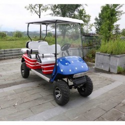 China 6 Seat Electric Sightseeing Golf Carts with 2 Back Seat