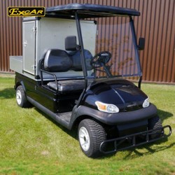 Customize Bins 2 Seater Excar Electric Golf Cart