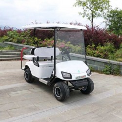 4 Passengers Folded Seats Golf Cart