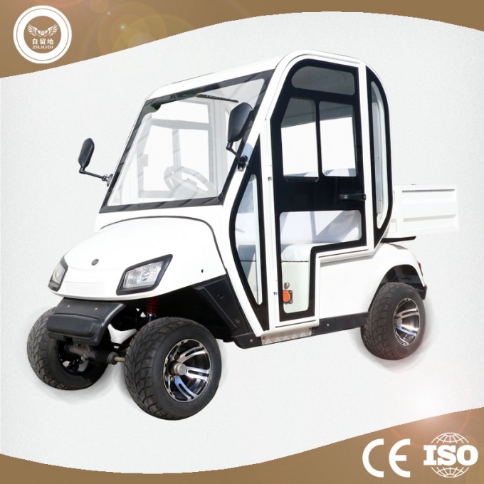 Ce Certificate Mini Golf Cart for Sale with Door Image1