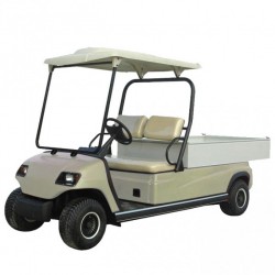 2 Person Electric Golf Cart with Cargo Car