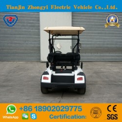 Zhongyi 2 Seats Mini Electric Golf Cart on Sale