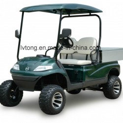 High Lifted Electric Golf Cart with Cargo Box (LT-A627. H2G)