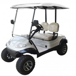 Four Wheels 2 Person Lifted Electric Golf Cart (LT-A627.2G)