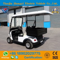 New Design Mini 2 Seats Electric Golf Cart with Luggage Box in The Back
