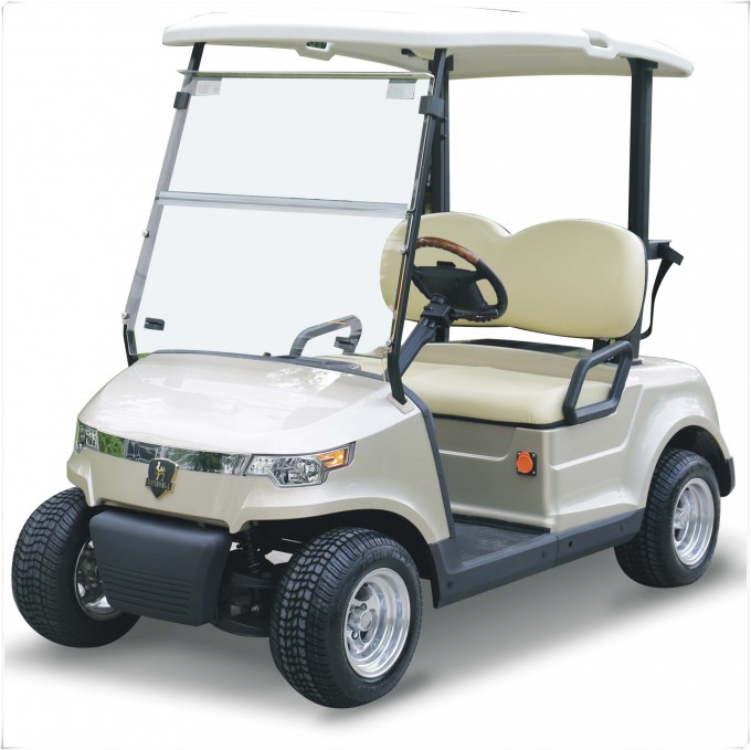 Ce Approved Newest Design 2 Seats Electric Golf Cart (DG-C2-8) Image1