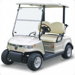 Ce Approved Newest Design 2 Seats Electric Golf Cart (DG-C2-8)