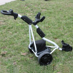 CE Approved Hot Sale 1 Seater Pure Electric Golf Cart (Dg12150-B)