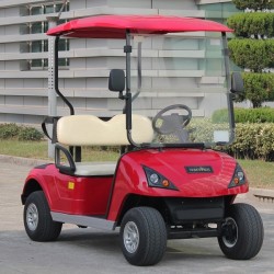 CE Approved Lead Battery Powered 2 Seater Electric Golf Cart (DG-C2)