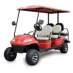 6 Seaters Electric Golf Cart