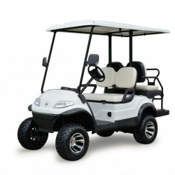4 Wheels Electric Folded Seats Golf Cart